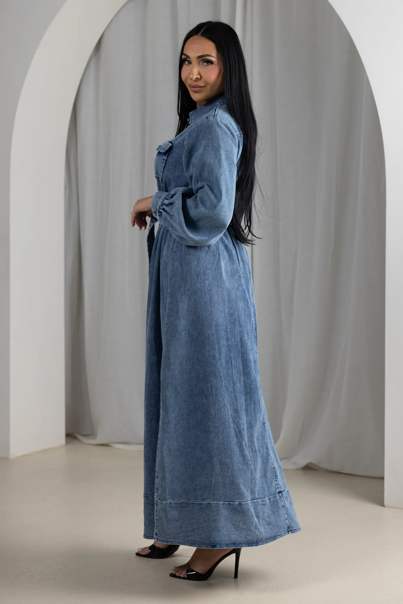 Gina Denim Dress