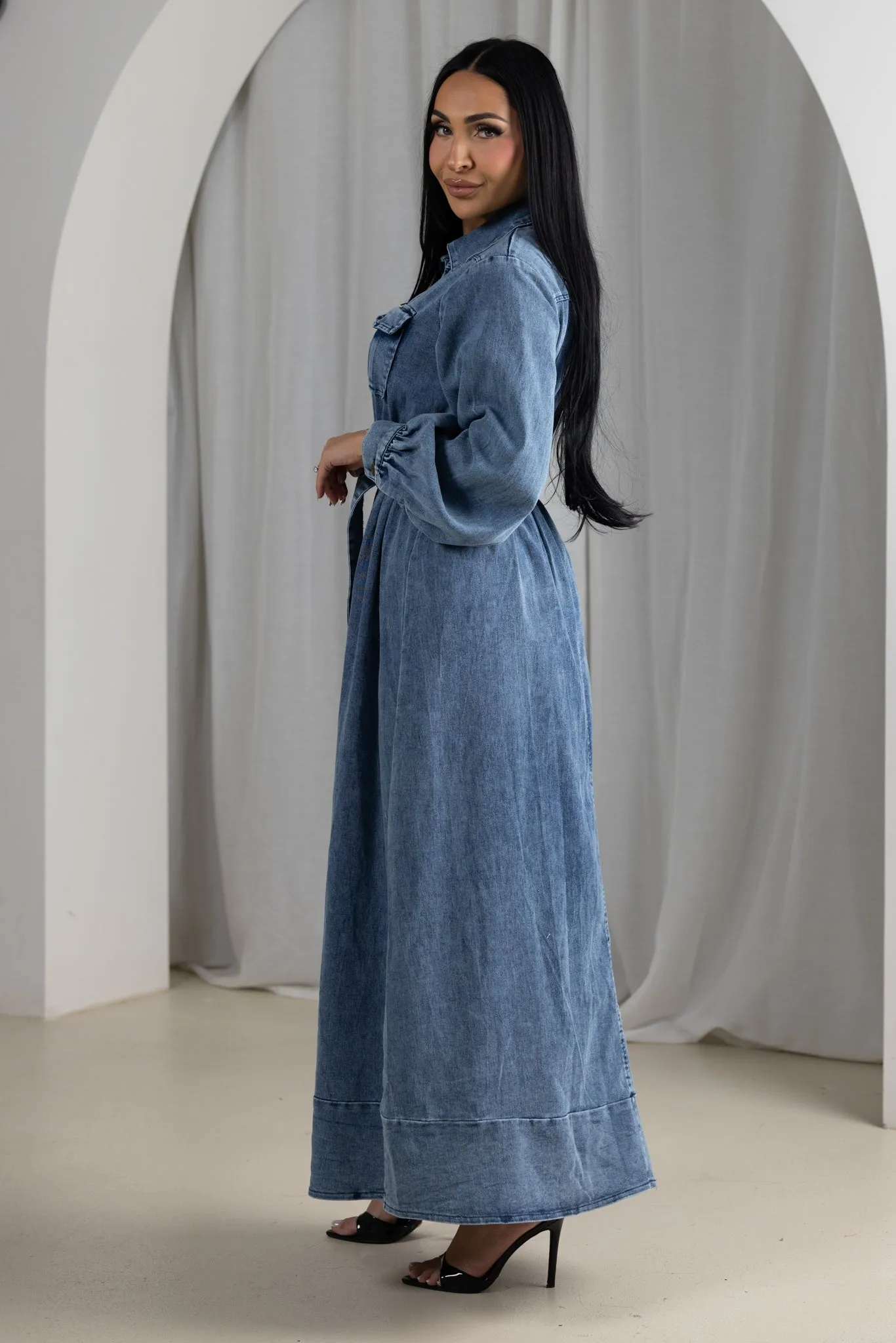 Gina Denim Dress