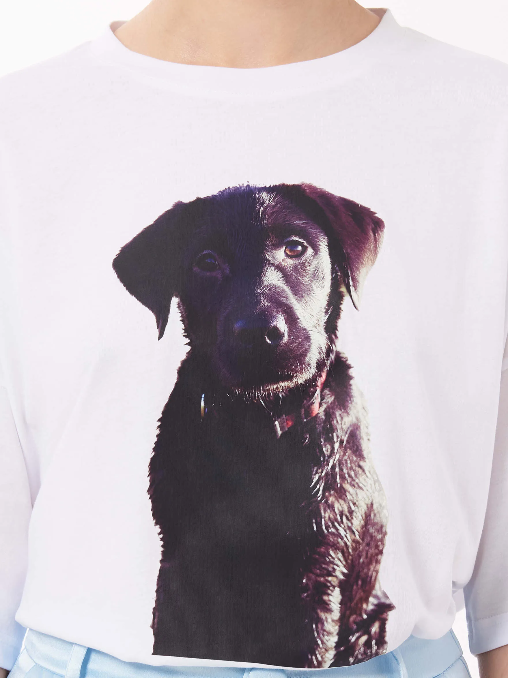 Labrador Puppy Print Unisex T-Shirt in White