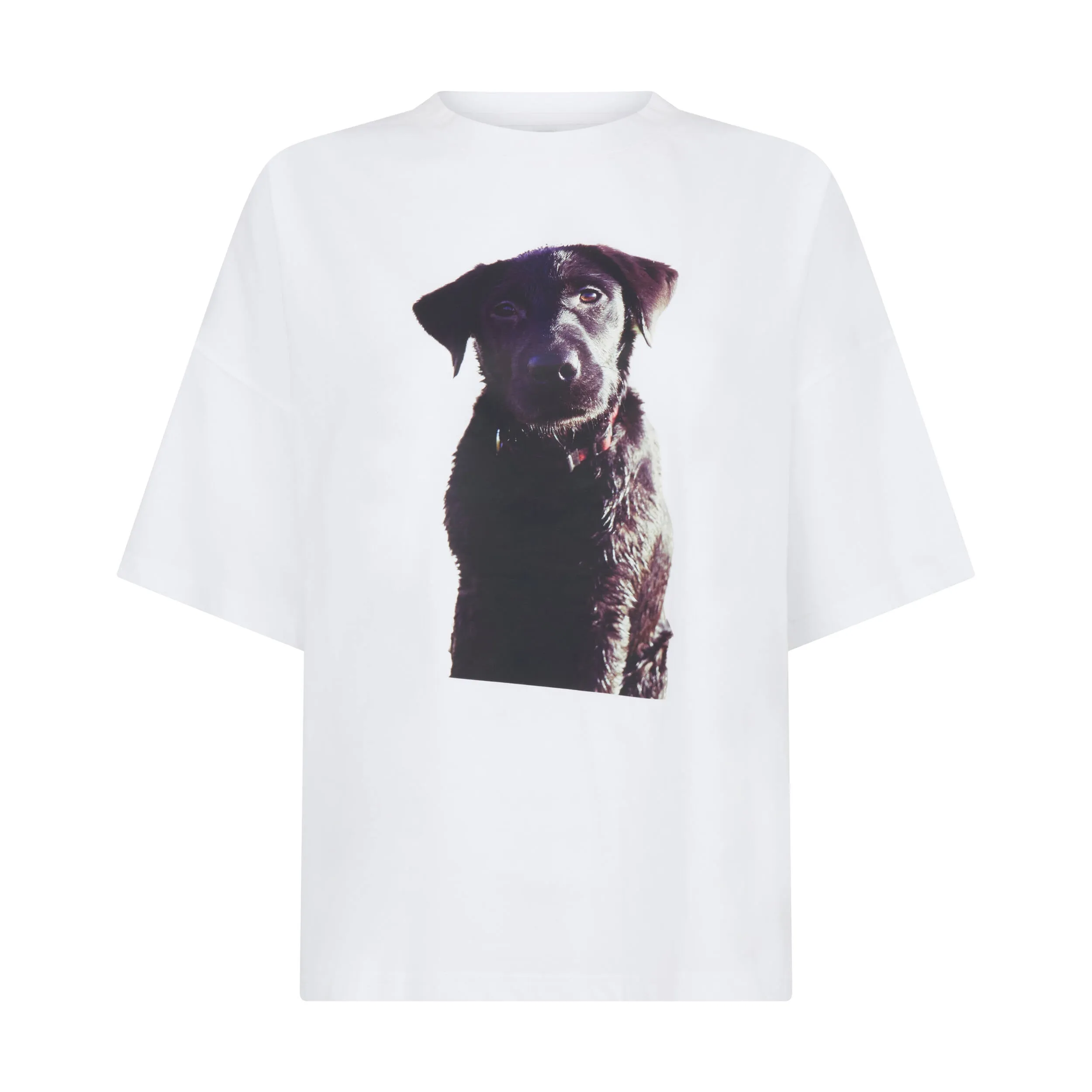 Labrador Puppy Print Unisex T-Shirt in White